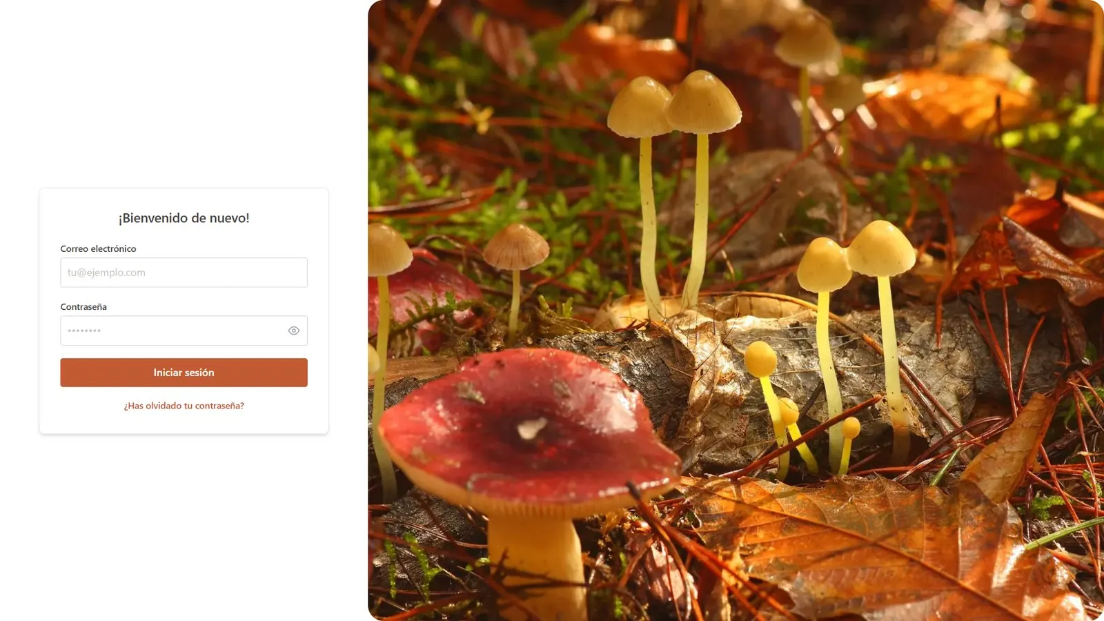 MYCOTOUR screen